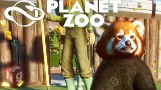 Planet Zoo - Малые панды! #8