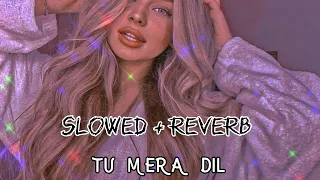 Tu mera dil falak shabbir song ( slowed + reverb ) slowed music