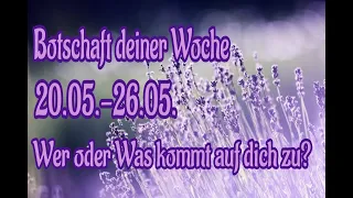 🏇💌💫Eine Nachricht/ein Zeichen bringt einiges zum Fließen🏇💌💫Eine Woche, in der sich viel bewegt🏇💌💫