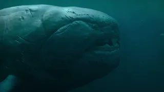 Dunkleosteus Attack Life on our Planet