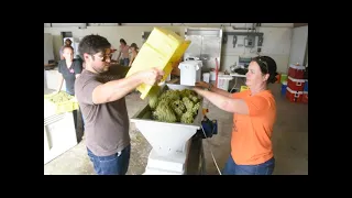 Fresno State Viticulture & Enology Department Overview