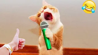 Funniest Animals 😅 New Funny Cats and Dogs Videos 😻🐶 Part 1