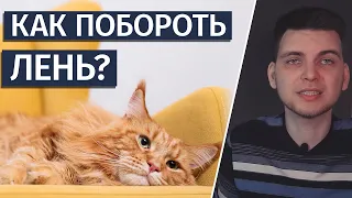 Как побороть ЛЕНЬ: прокрастинация, откладывание на потом