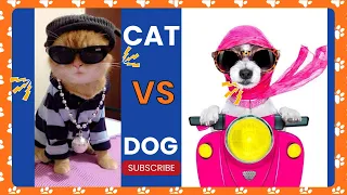 Cats vs. Dogs: The Ultimate Cute Battle 😹🐶