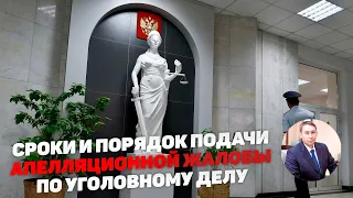 Порядок и сроки подачи апелляционной жалобы по уголовному делу