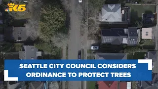 Seattle City Council considering new ordinance to protect trees