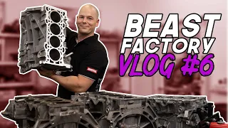 Beast Factory Vlog #6