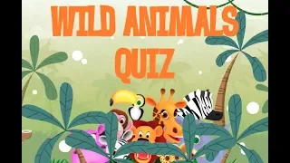 Wild Animals Quiz