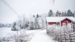 ▷ MY SWEDISH CHRISTMAS DECORATIONS | DECORATING MY HOME | VLOG #24