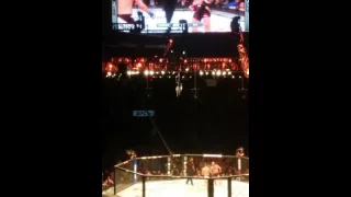 UFC 196 MCGREGOR VS DIAZ Live crowd reaction/ Finish
