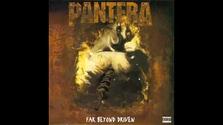 Pantera 06 Hard Lines, Sunken Cheeks