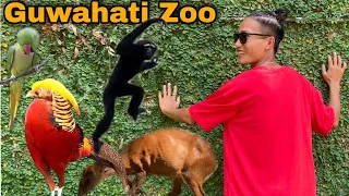 Visited Guwahati Zoo With My Friends || Assam State Zoo Cum Botanical Garden