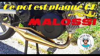 Montage et Bruit du Pot Malossi Flûte Gold - Tu as jamais vu ça / Moins de 10 en France