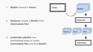 2021-04-28 BlobToolKit Pipeline Tutorial