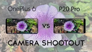 OnePlus 6 vs Huawei P20 Pro: Camera Shootout