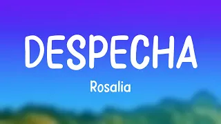 DESPECHÁ - Rosalia [Letra]