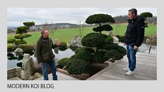 Modern Koi Blog #5103 - Für diese Pflanzenauswahl entschied sich Gerhard für seine Koi Lodge