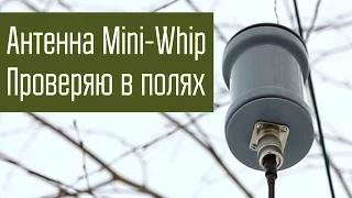 Антенна Mini-Whip. Проверка антенны в полях. Приём сигналов в диапазонах ДВ/СВ/КВ.