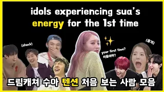 idols experiencing sua's energy for the 1st time / 드림캐쳐 수아 텐션 처음 보는 사람 모음 🐥