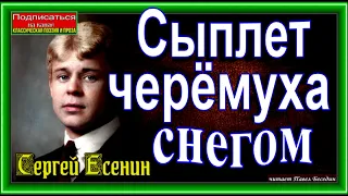 Сыплет черёмуха снегом , Сергей Есенин, Русская Поэзия ,читает Павел Беседин