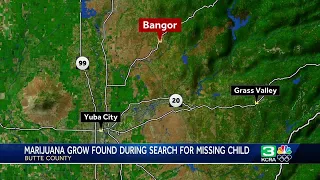 Missing 3-year-old found in Butte County marijuana grow site, sheriff says