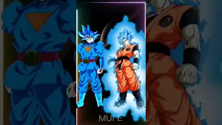 Who is strongest universal blue grand priest goku vs all #anime #dbs #goku