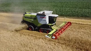 ŻNIWA JĘCZMIENIA 2023 | CLAAS LEXION 760 TT | AGRO-TEAM