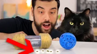 DIY Cat Foraging Toys (and will our cat use them?)