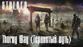 S.T.A.L.K.E.R. - Thorny Way Тернистый путь Part 4 Две концовки