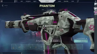 VALORANT | Checking my store everyday until I get Protocol Phantom (1 part/video only)