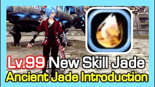 Lv99 New Skill Jade Introduction / Ancient Skill Jade / Dragon Nest Korea (2023 June)