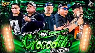 🐊 MEGA MELODY C R O C O D I L O P R I M E - CROCO INTERNACIONAL ROCK DOIDO  2022