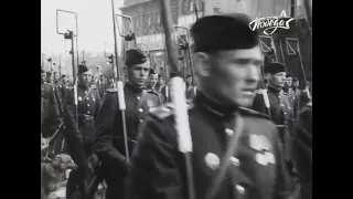 Собаки на параде Победы 1945