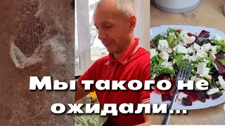 Я из Донбасса(Торецк)Киев 24.04.24😲Никто такого не ожидал👀/Салат из свеклы🥗/Торецк-громко💥