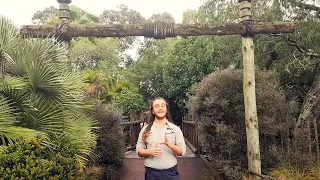 Trainee Keeper at Auckland Zoo - Carnivores