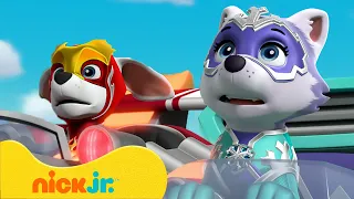 Patrulha Canina | Missões de Fogo e Gelo com os Filhotes Poderosos! | Nick Jr. em Português