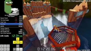 Kao the Kangaroo Round 2 - Any% Speedrun in 54:33 (55:41 with loads)