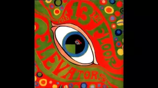 The 13th Floor Elevators - Your Gonna Miss Me