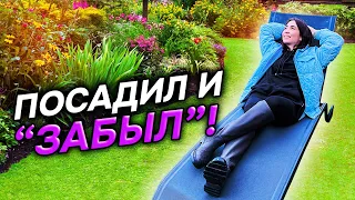 💥САД БЕЗ ПРОБЛЕМ! 39 многолетников, которые не укрывают НИКОГДА (или почти никогда)