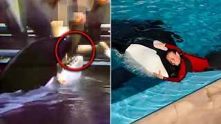 The Horrific Truth Behind Shamu and Annette Eckis: 2 Episode Special