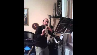 Disney The Lion King - Circle of Life - Sax Sopranino - Interp. Matteo Serafini