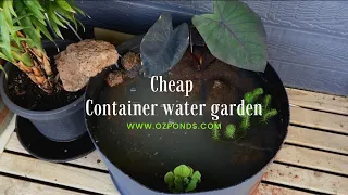 Simple cheap container water garden