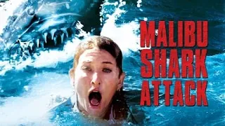 Malibu Shark Attack (2009) Carnage Count