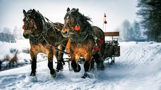 ЗИМА, СНЕГ. ЛЮБОВЬ! Волшебная музыка зимы! Одна из самых красивых, волшебных зимних мелодий