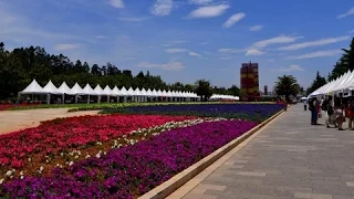 NIHAO CHINA - Visitar el parque de Expo de Yunnan