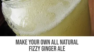 Make your own all natural fizzy ginger ale | Easy Recipe