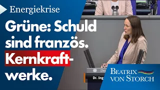 Beatrix von Storch (AfD) - Grüne schiebt deutsche Energiekrise auf französische Atomkraftwerke.