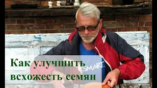 Как улучшить всхожесть семян