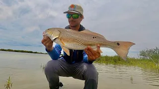 Sight Fishing for Redfish in My Hobie Lynx! Mosquito Lagoon.