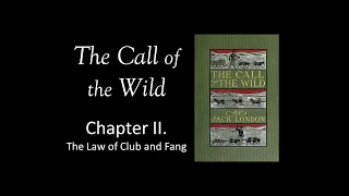 The Call of the Wild Audio Book - Chapter 2